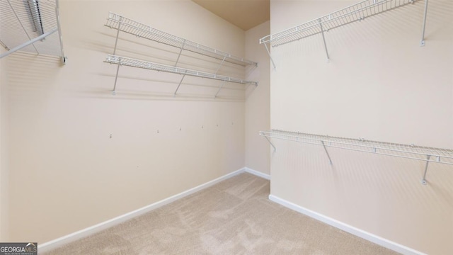 spacious closet featuring carpet flooring