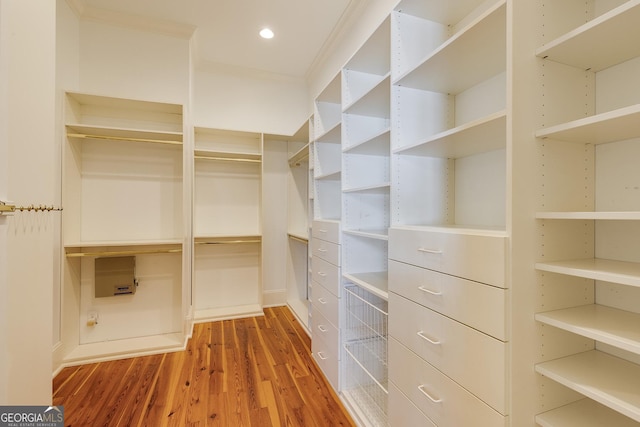 walk in closet featuring wood-type flooring