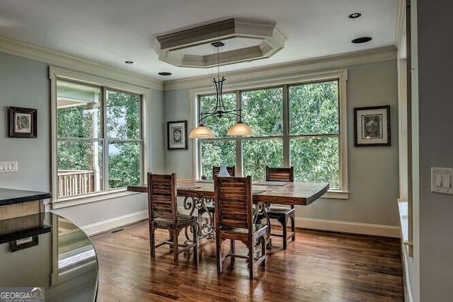 dining space with ornamental molding and dark hardwood / wood-style floors