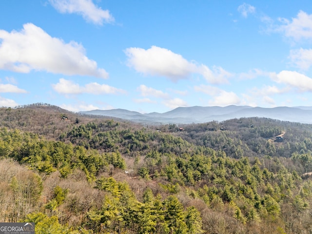 property view of mountains featuring a wooded view