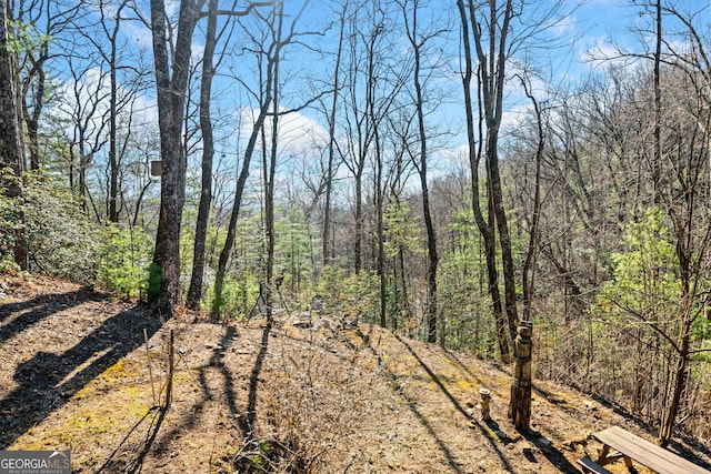 view of local wilderness