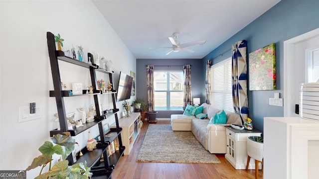 sitting room featuring light hardwood / wood-style floors and ceiling fan