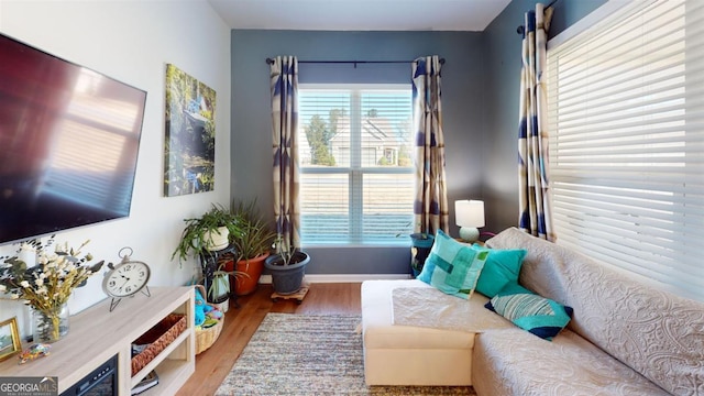 living area featuring wood-type flooring