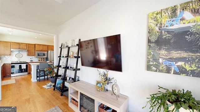 living room with light hardwood / wood-style flooring