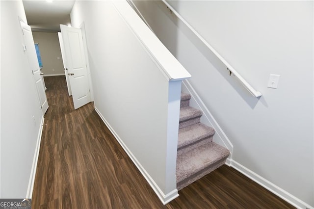 staircase featuring hardwood / wood-style floors