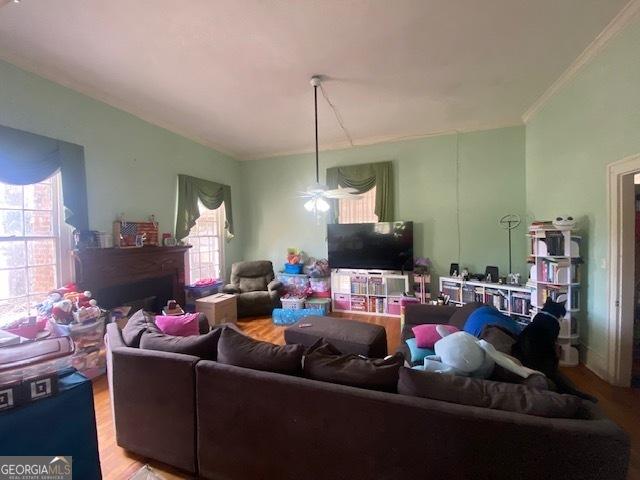 living room featuring hardwood / wood-style flooring