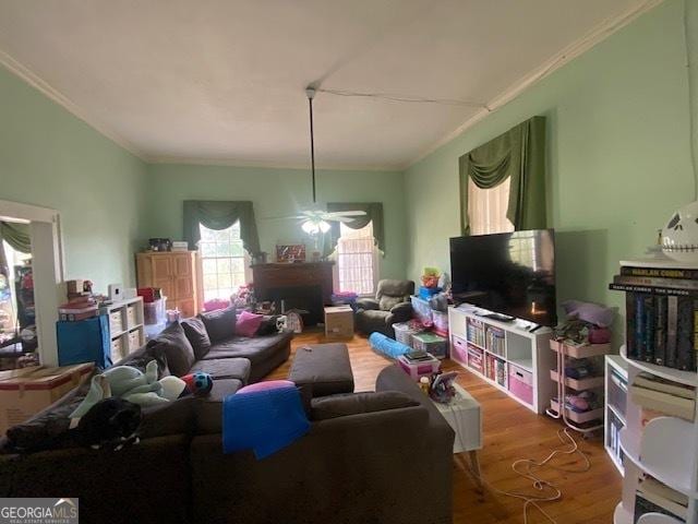 living room with ceiling fan, hardwood / wood-style flooring, and crown molding