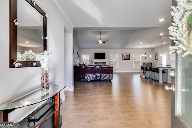 living room with a fireplace, ceiling fan, sink, and wood-type flooring