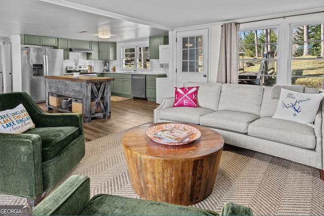 living room with sink and hardwood / wood-style floors