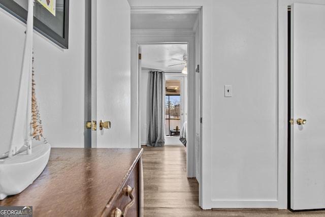 corridor with wood-type flooring