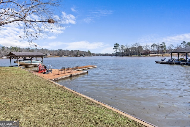 dock area with a water view