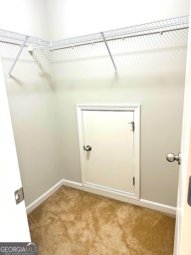 spacious closet featuring light carpet