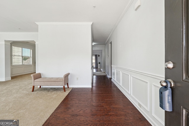 corridor featuring a decorative wall, dark wood-type flooring, ornamental molding, wainscoting, and dark colored carpet