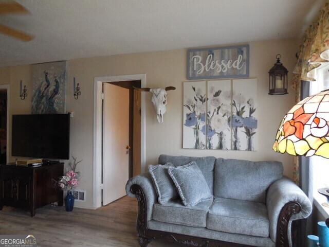 living room featuring hardwood / wood-style floors and ceiling fan