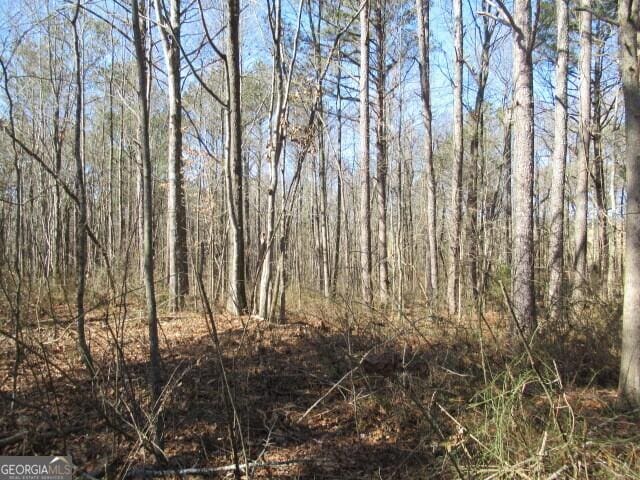 Listing photo 3 for 5060 Stateline Rd, Bowdon GA 30108