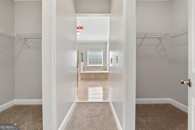 walk in closet with carpet flooring