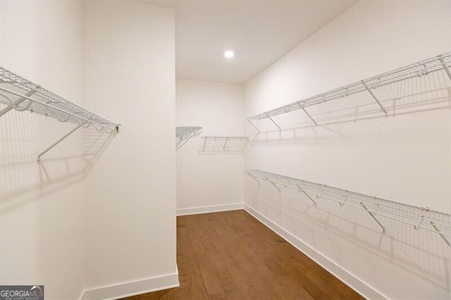 spacious closet featuring dark hardwood / wood-style flooring