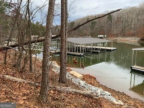 dock area featuring a water view