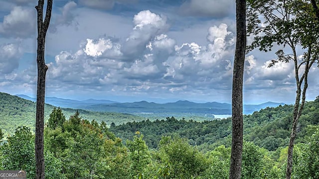 property view of mountains