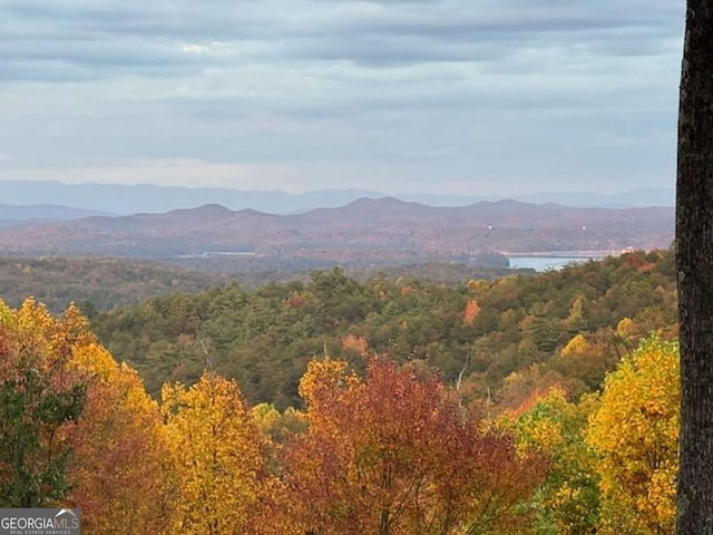 property view of mountains