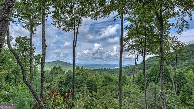 property view of mountains