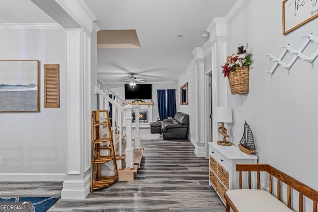 hallway with dark hardwood / wood-style flooring and crown molding