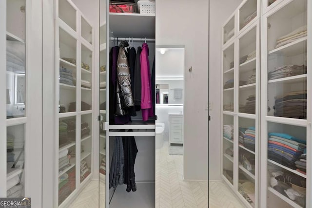 view of walk in closet