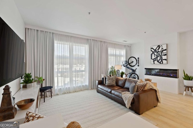 living area featuring a glass covered fireplace and wood finished floors