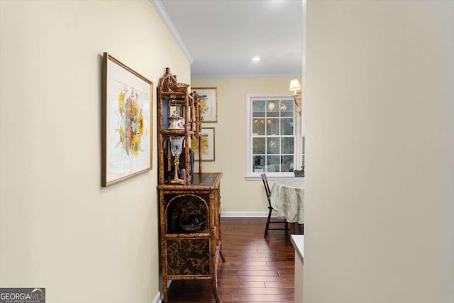 hallway with crown molding and dark hardwood / wood-style floors