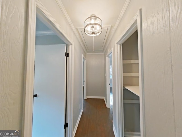 hall featuring ornamental molding and dark wood-type flooring