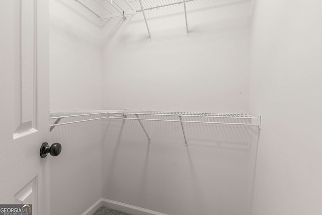 view of spacious closet