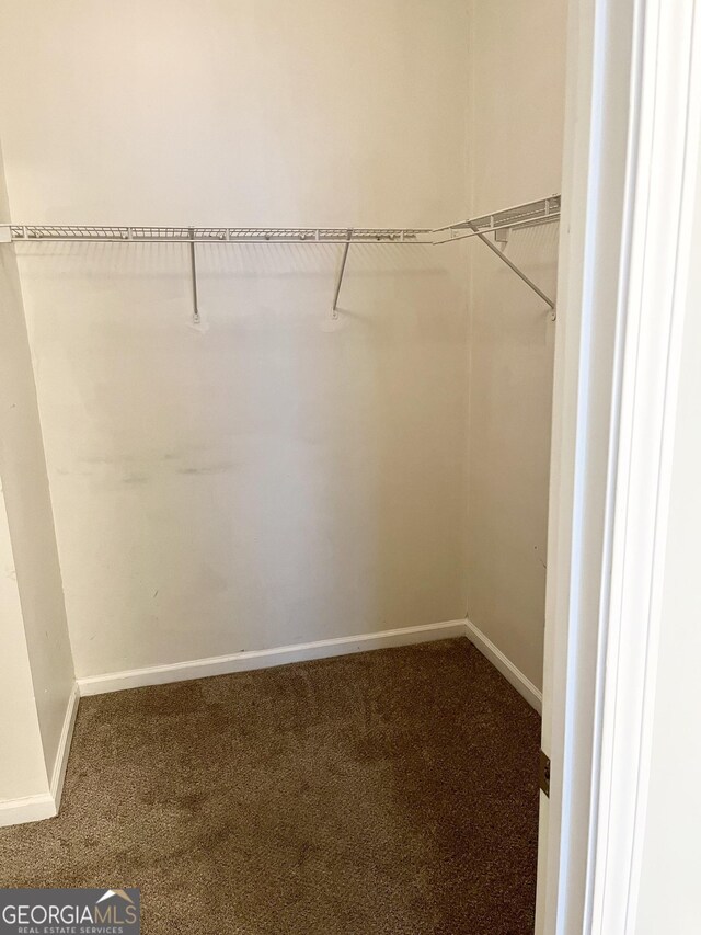 spacious closet with carpet flooring