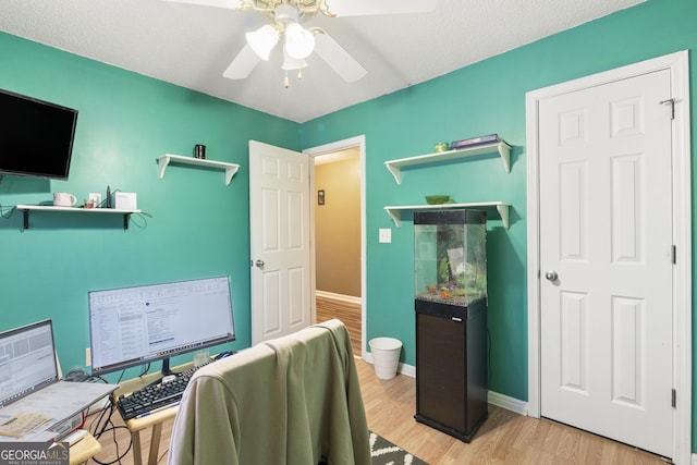 home office with light hardwood / wood-style floors and ceiling fan