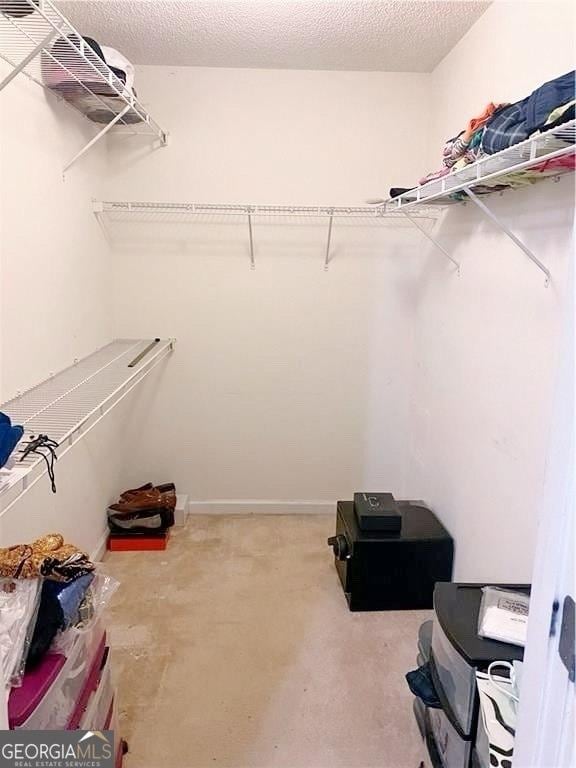 view of walk in closet