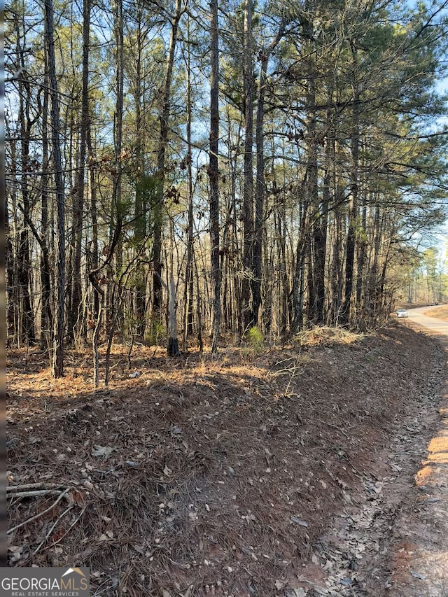 LOT7 Beach Rd, Greenville GA, 30222 land for sale