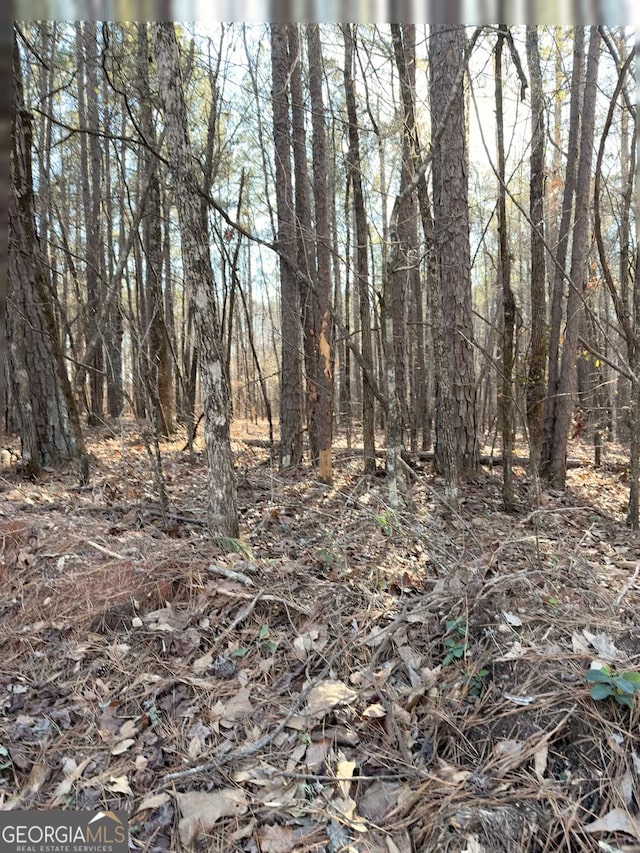 Listing photo 2 for LOT7 Beach Rd, Greenville GA 30222