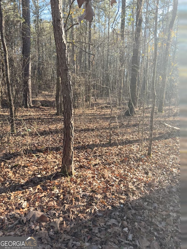 Listing photo 3 for LOT7 Beach Rd, Greenville GA 30222