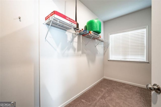 spacious closet featuring carpet flooring