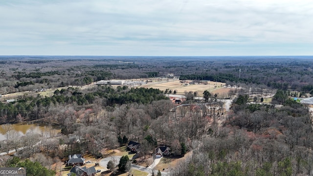 bird's eye view featuring a water view and a wooded view