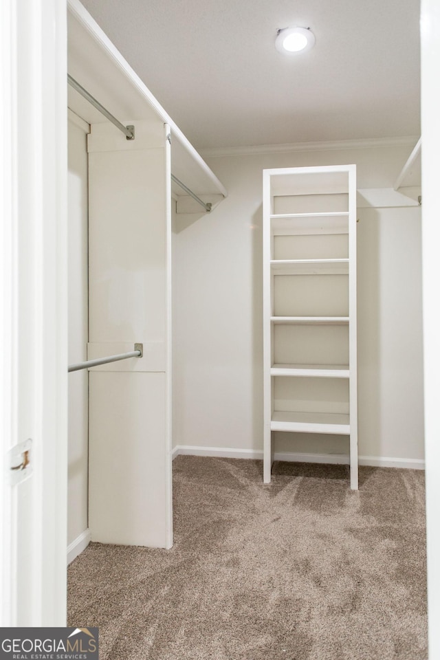 702 Hillmont Dr, Waycross, GA 31503 - walk in closet featuring carpet flooring