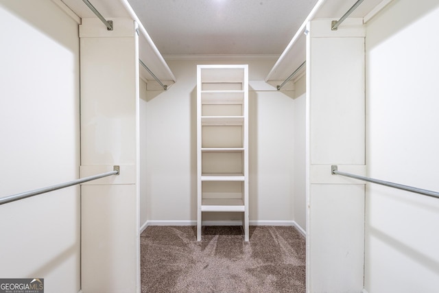 702 Hillmont Dr, Waycross, GA 31503 - walk in closet with light carpet