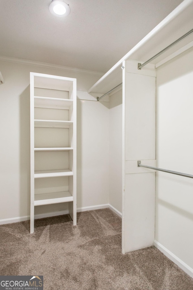 702 Hillmont Dr, Waycross, GA 31503 - walk in closet with carpet