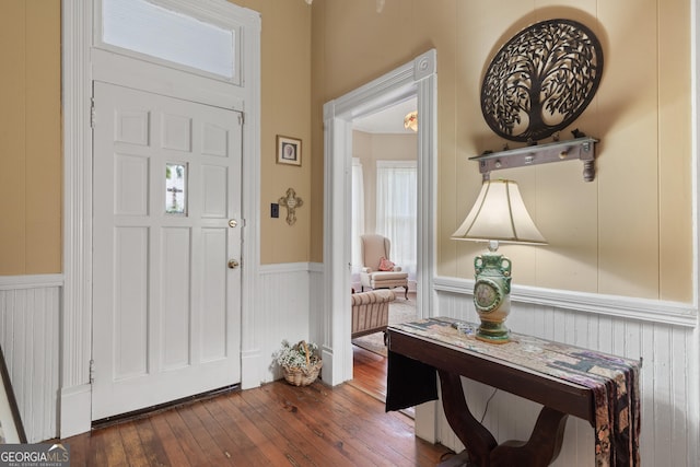 entrance foyer with dark wood-type flooring