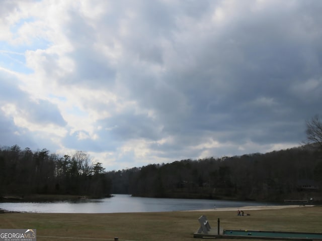 water view featuring a view of trees