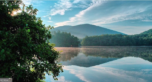 water view featuring a mountain view and a wooded view