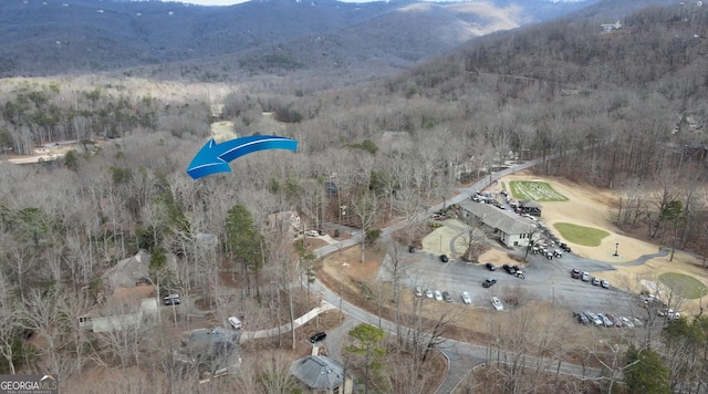 drone / aerial view featuring a mountain view