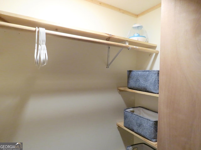 view of walk in closet