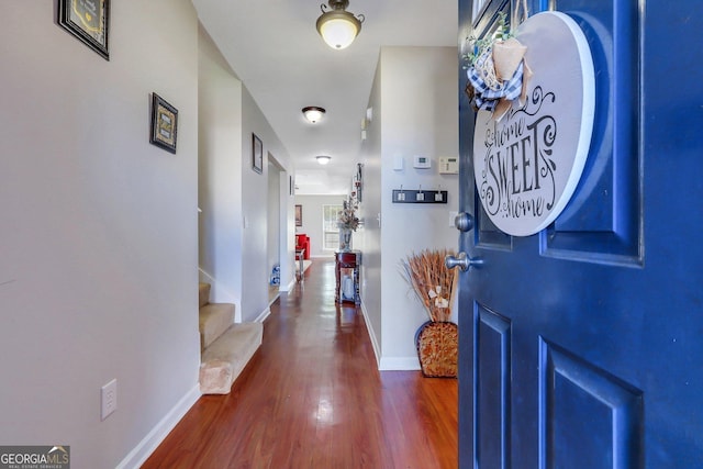 foyer with dark wood-type flooring