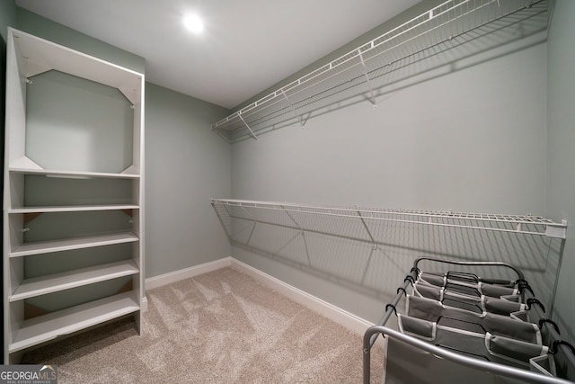 spacious closet featuring carpet flooring