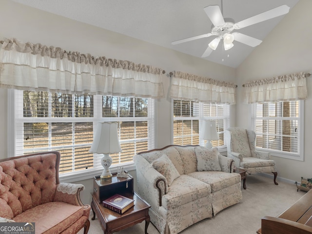 509 Carleton Pl, Locust Grove, GA 30248 - sunroom / solarium with vaulted ceiling